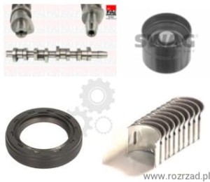 Wałek rozrządu popychacze panewki Audi A4 1.9 TDI AJM C248C