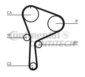 Rozrząd pompa wody Nissan Primera P12 1.9 dCi CT1064K1 R229