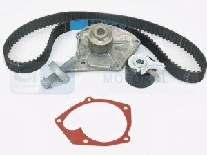 Rozrząd pompa wody Nissan Juke 1.5 dCi 119A08272R