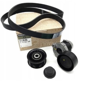 Zestaw napinacz paska wieloklinowego  Renault Megane III 1.2 TCe 8660004976